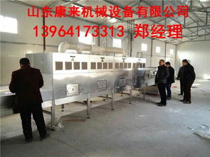 微波葡萄干殺菌設(shè)備 技術(shù)原理、優(yōu)勢(shì)與專業(yè)服務(wù)解析